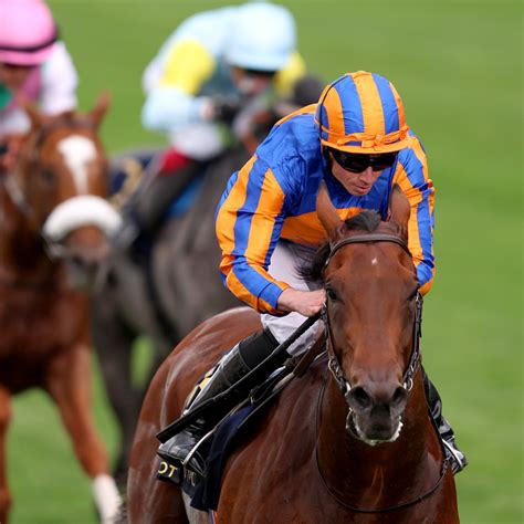 Ante Post Races Betting Odds Comparison .